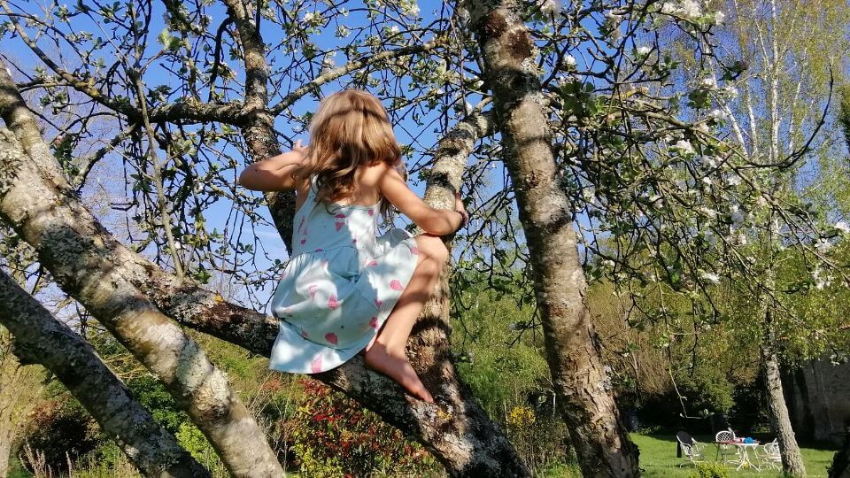 Things to do with kids at home-climbing trees