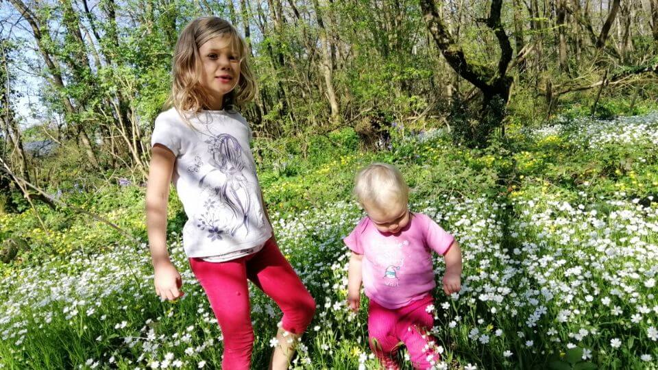 Things to do with kids at home-intro photo 1-Ayla and Romy playing in wild flowers