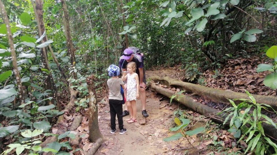 Things to do in Kuala Lumpur With Kids-hiking Bukit Gasing