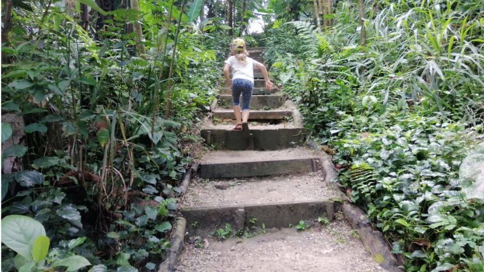 Things to do in Kuala Lumpur With Kids-hiking Taman Tugu-Ayla running up steps