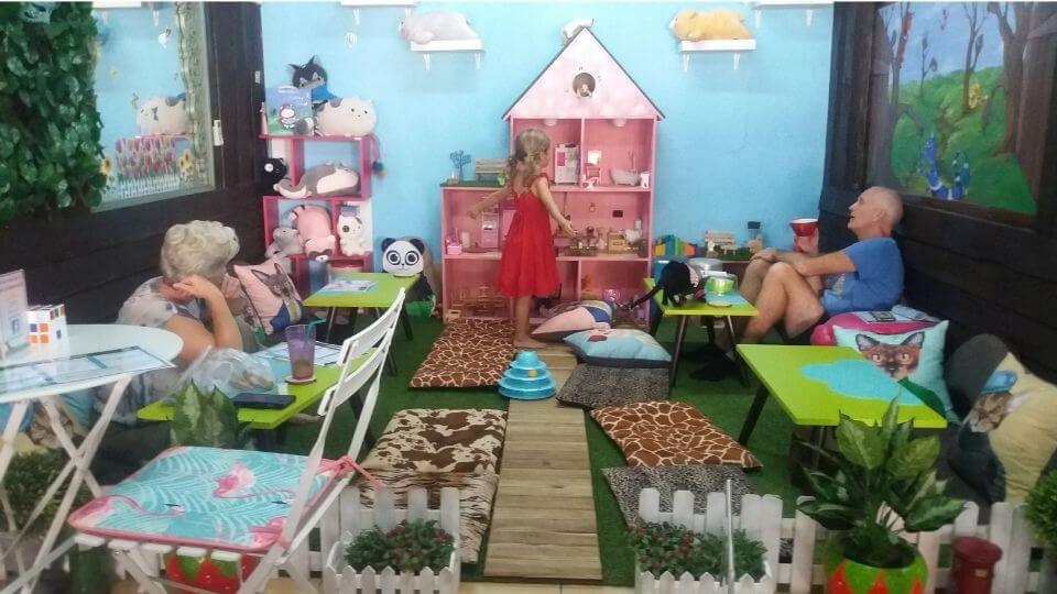 Things to do with kids in Chiang Mai -Cats in Wonderland cat rescue cafe