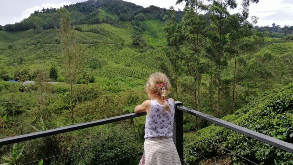 Ayla overlooking Boh Tea Plantation