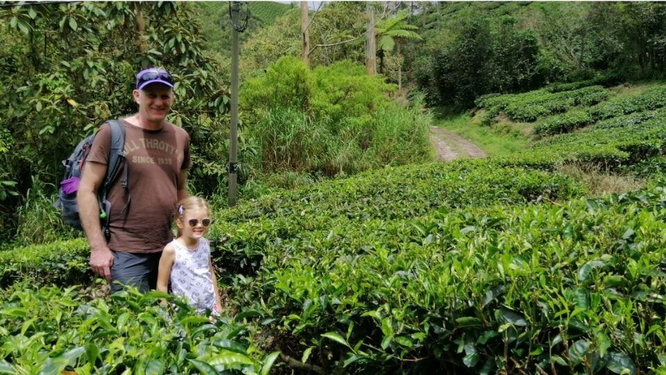 Our Top Picks For Interesting Things to do in the Cameron Highlands