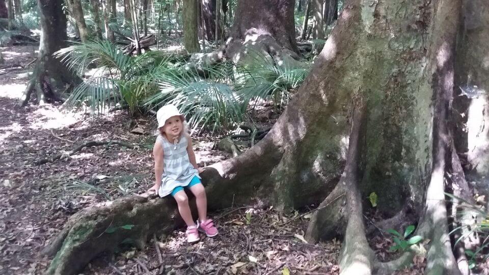 Things to do in Gisborne-Gray's Bush Scenic Reserve-Ayla sitting on giant tree root