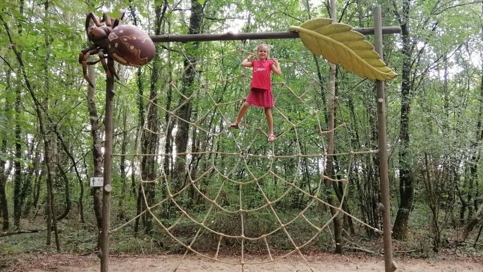 Things to do in Poitou Charentes-Defi Planet-Ayla climbing spider web in the forest trail