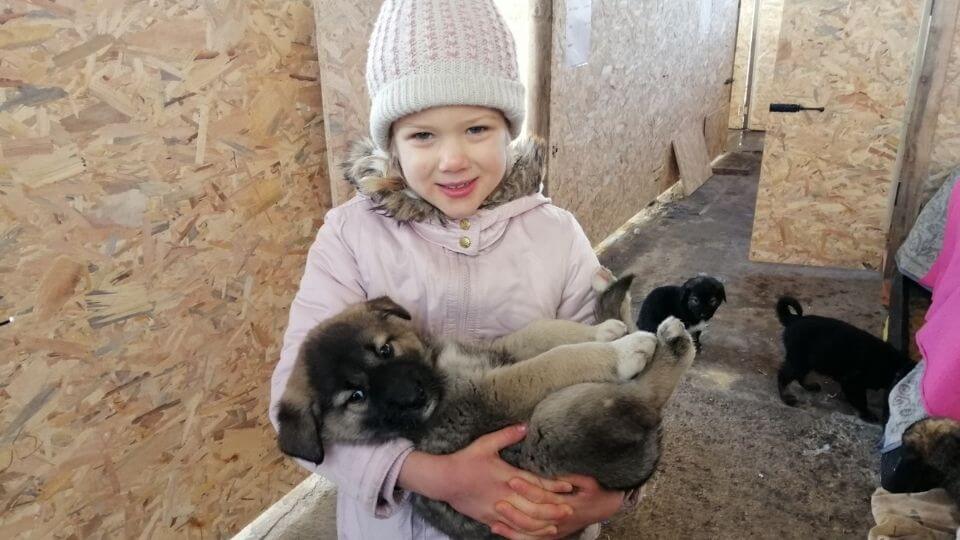 Things to do in Bansko Bulgaria-volunteer with the Bansko Street Dogs-Ayla with puppy