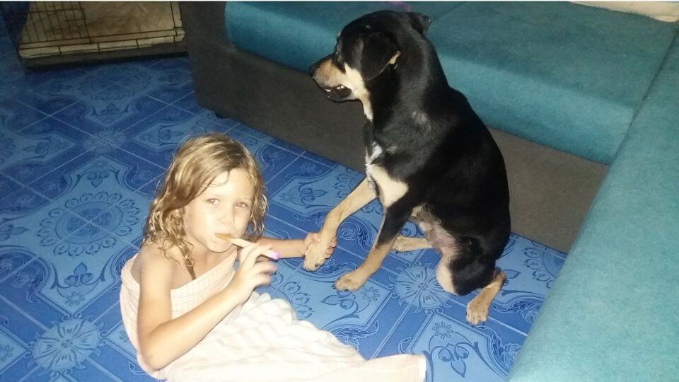 Trusted House Sitters review-Krabi-Thailand-Ayla with Thor