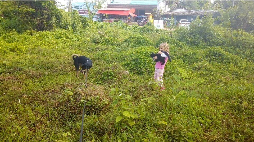 Trusted House Sitters review-Krabi-Thailand-Ayla with cat and dog