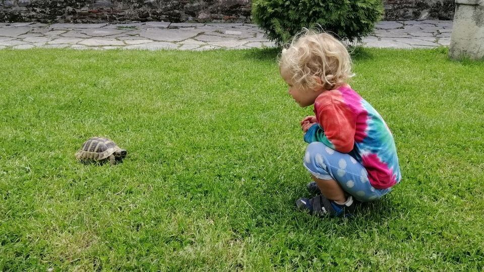 Romy and tortoise-Ohrid old town-North Macedonia