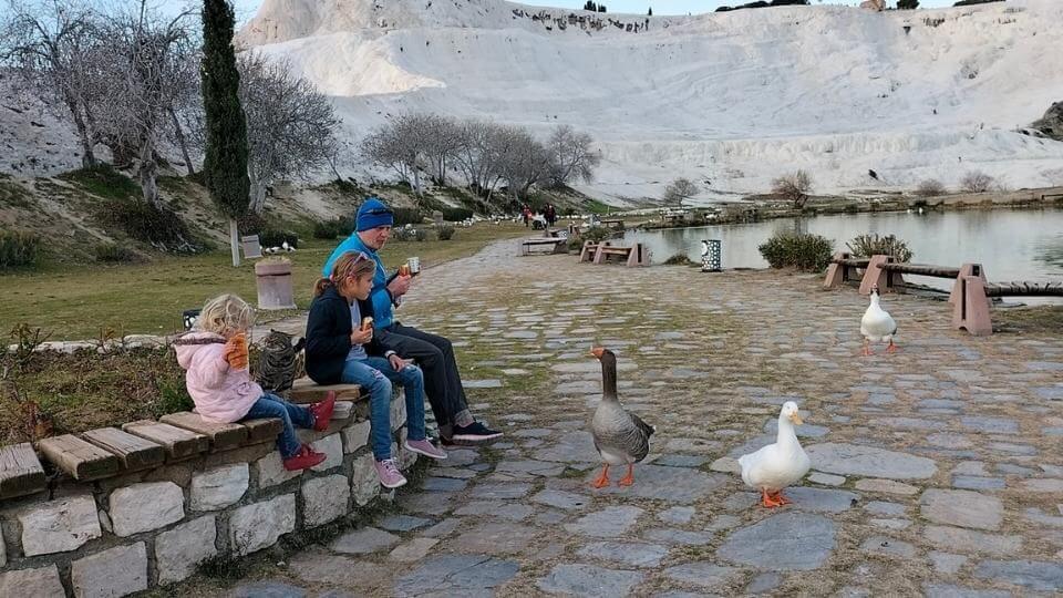 Things to do in Pamukkale-hang out at natural park-Colin, Ayla, Romy and geese