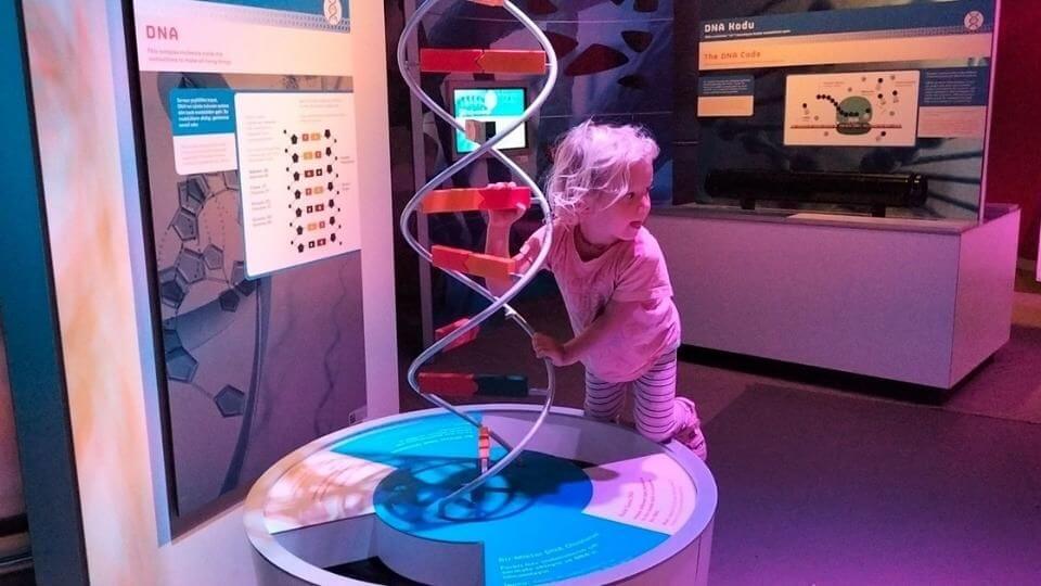 Romy at a DNA exhibition in the Konya Science Center