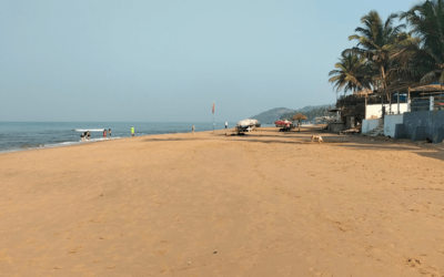 Top 9 Picks for things to do in Anjuna, North Goa