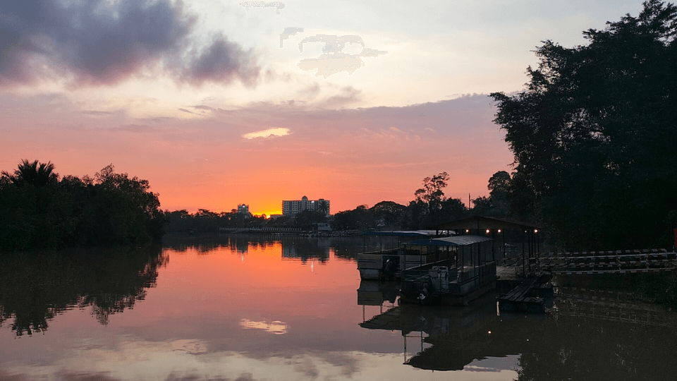 Kota Tinggi firefly park at sunset, not long before our trip down the river