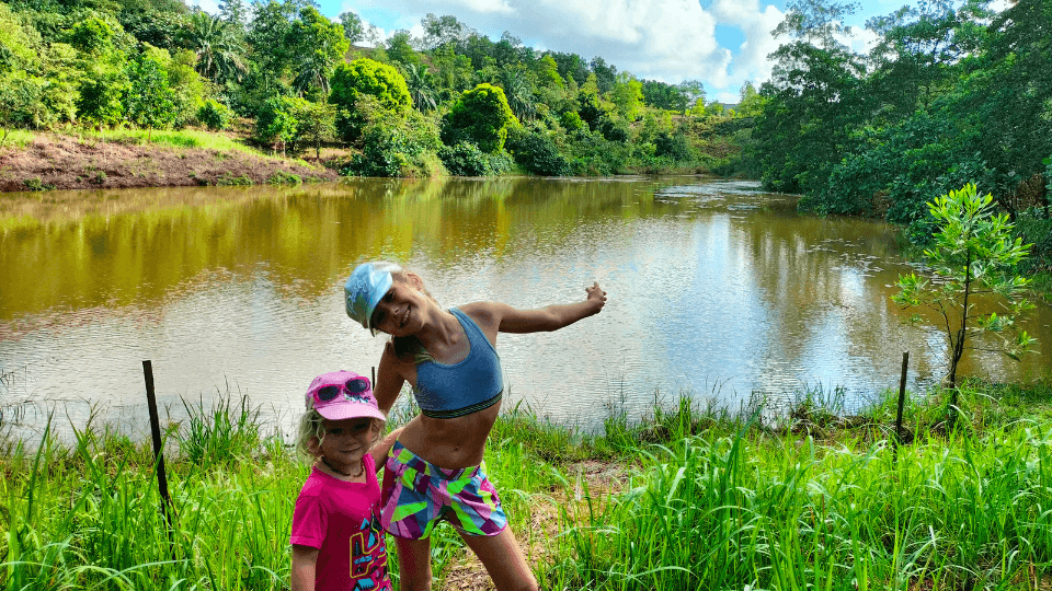 Sireh Park is a fantastic place to take kids for hiking and nature time