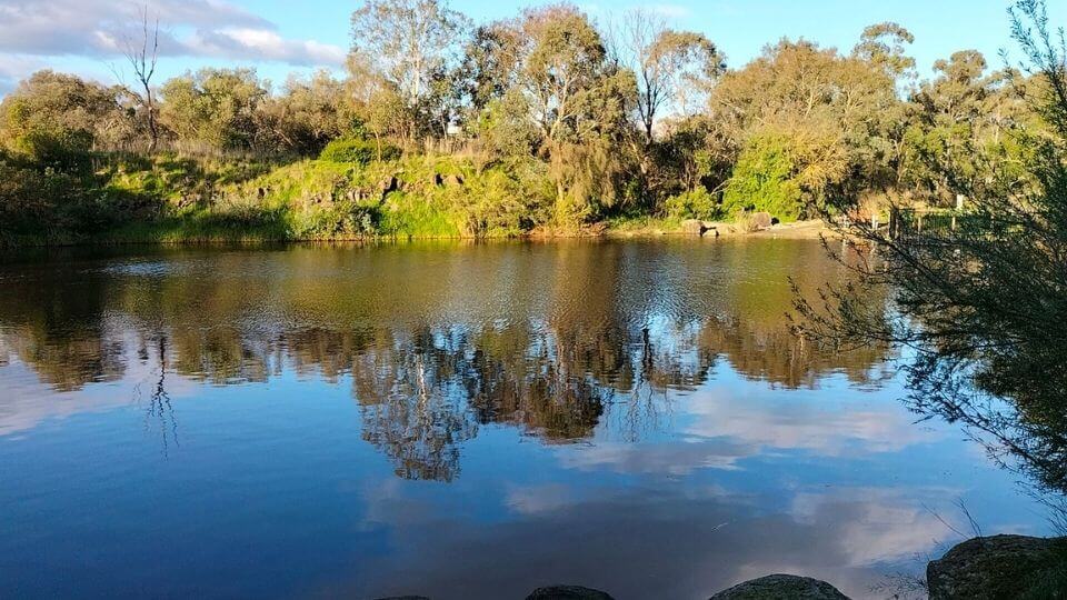 The Darebin Parklands in Alphington is a lovely place to enjoy a stroll in nature