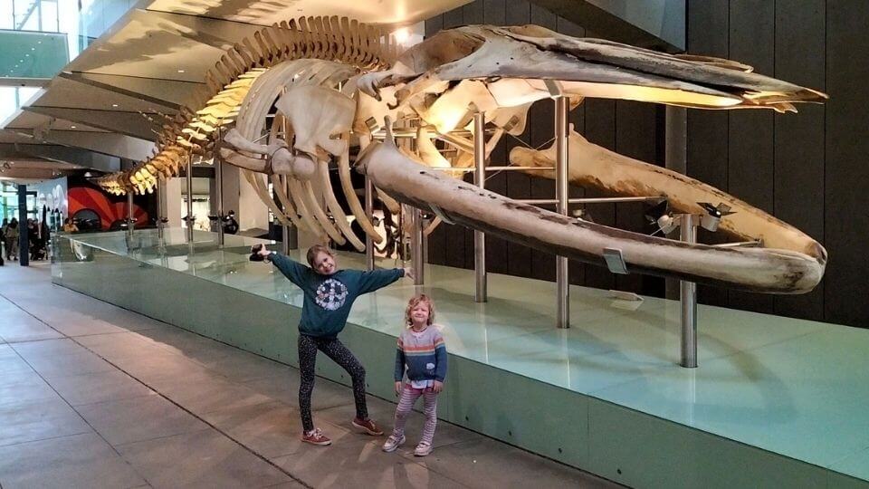 Visiting the Melbourne Museum is one of the best things to do in Melbourne with kids, especially on rainy days