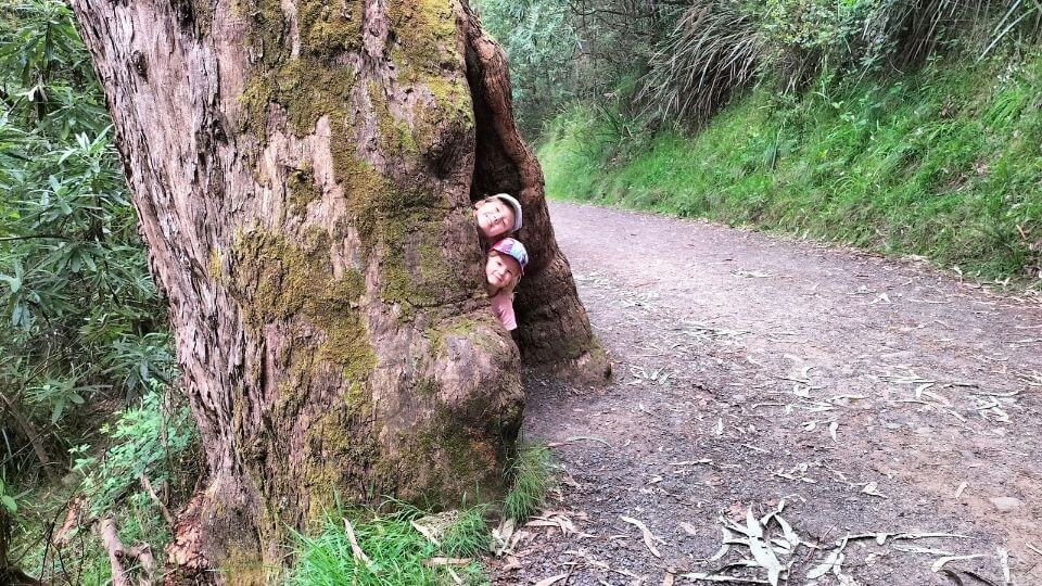 Ayla and Romy peek out from behind a tree on the Kokoda Memorial Track in the Dandenong Ranges