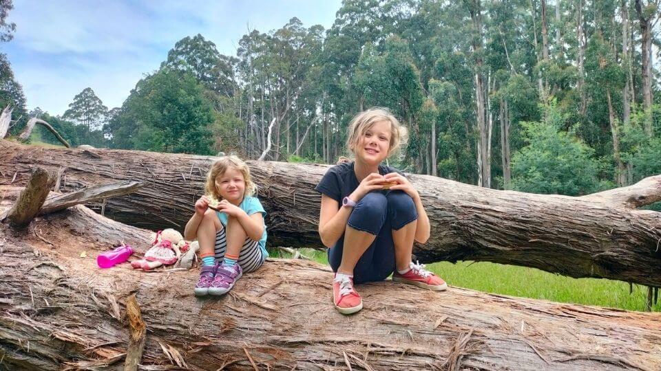 There are lots of beautiful walking trails in the Dandenong Ranges National Park, and spots to stop and enjoy a picnic lunch