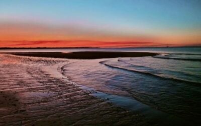 7 Fun ideas for Things to do in Hervey Bay with Kids