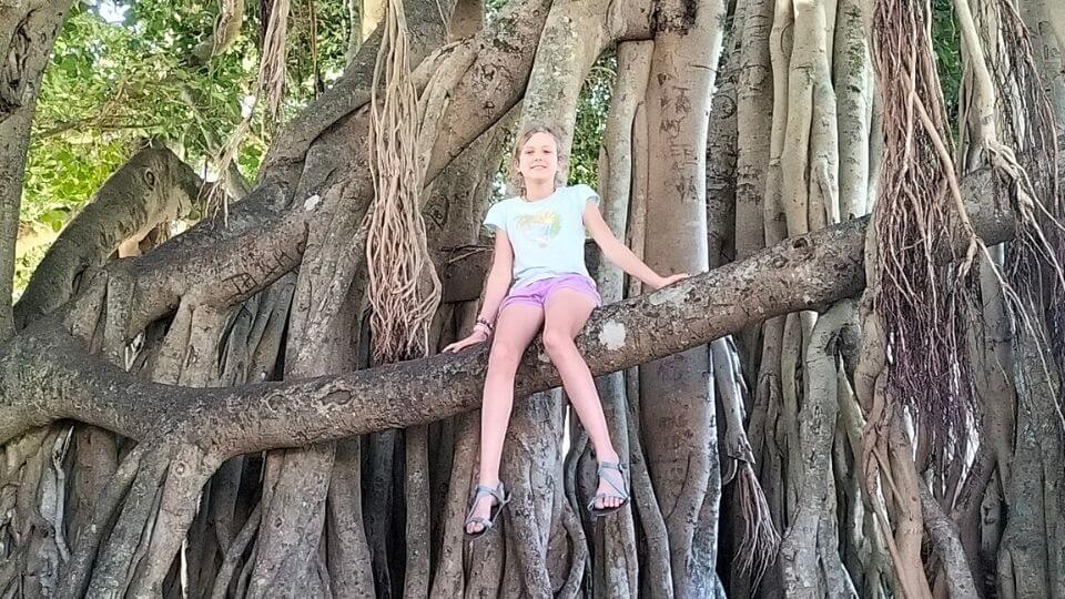 Ayla sits in a giant fig tree in Queens Park, one of the must-visit spots in Maryborough, Queensland.