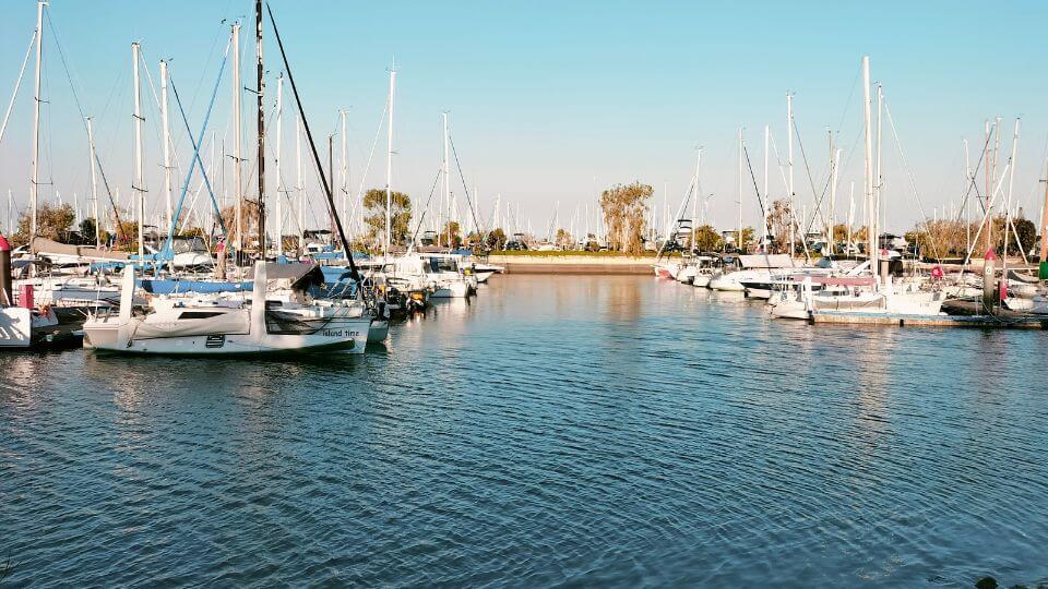 Boats at the Manly harbour can be seen on the Lota to Wynnum waterfront walk.