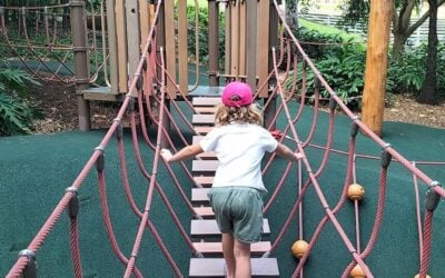 16 Best Parks and Playgrounds in Brisbane and the Redlands