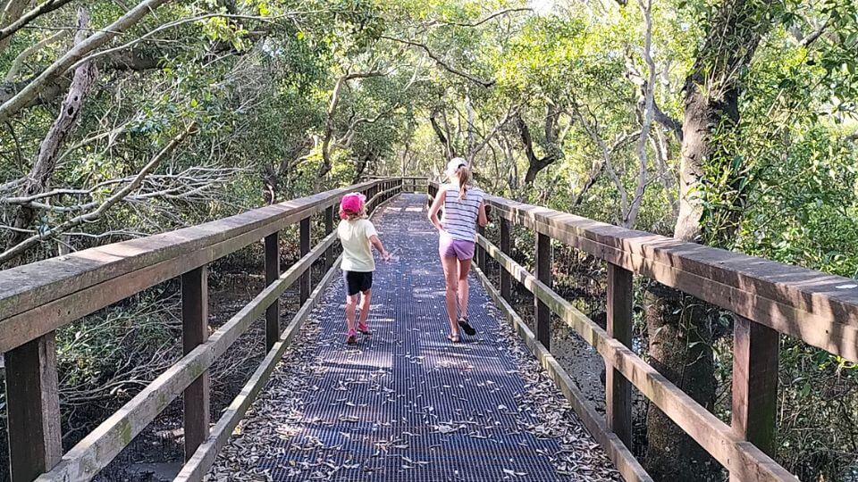 Best Walks and Hikes in Brisbane and Nearby