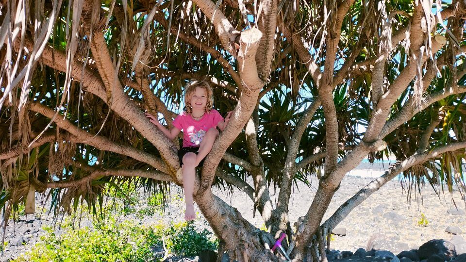 Romy sits in a tree by the beach at Christsen Park in Bargara.