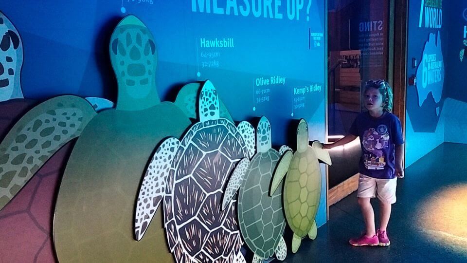 Romy stands next to pictures of different turtle species at the Mon Repos Turtle Centre, one of the best places to visit in Bundaberg for families.