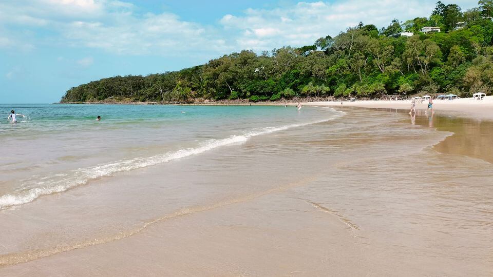 Noosa Main Beach boasts gorgeous white sands, clear water, and gorgeous greenery.