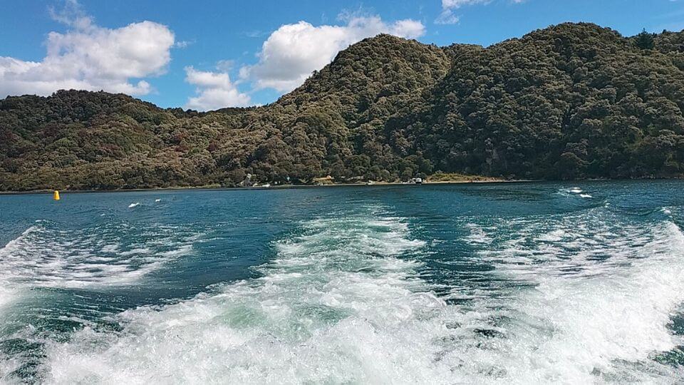 A view of Hot Water Beach and the boat's wake, as seen from the boat.