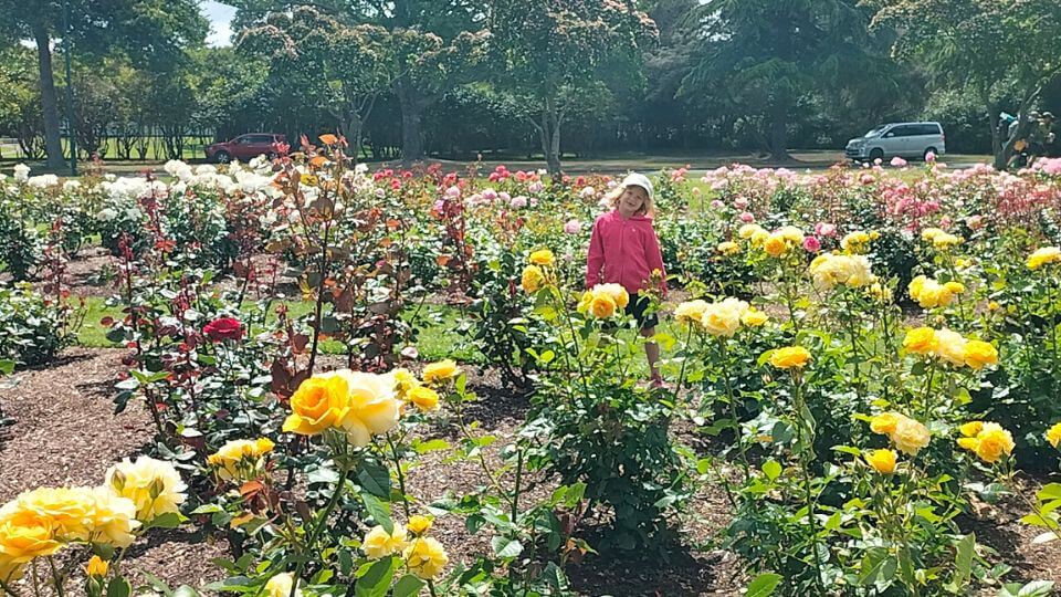 Romy stands amid a beautiful rose garden at the Goverment Gardens in Rotorua.