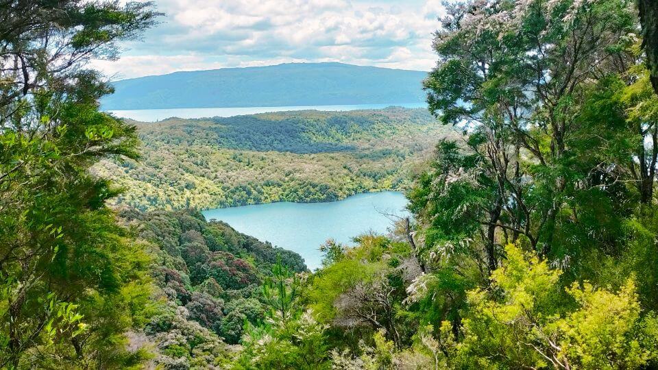 The Tarawera Trail offers several stunning glimpses of Lake Tarawera along the track.