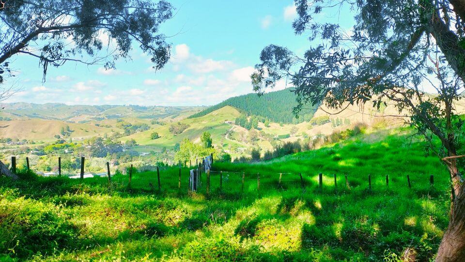 A farmland view from Whataupoko Mountain Bike Park in Gisborne.