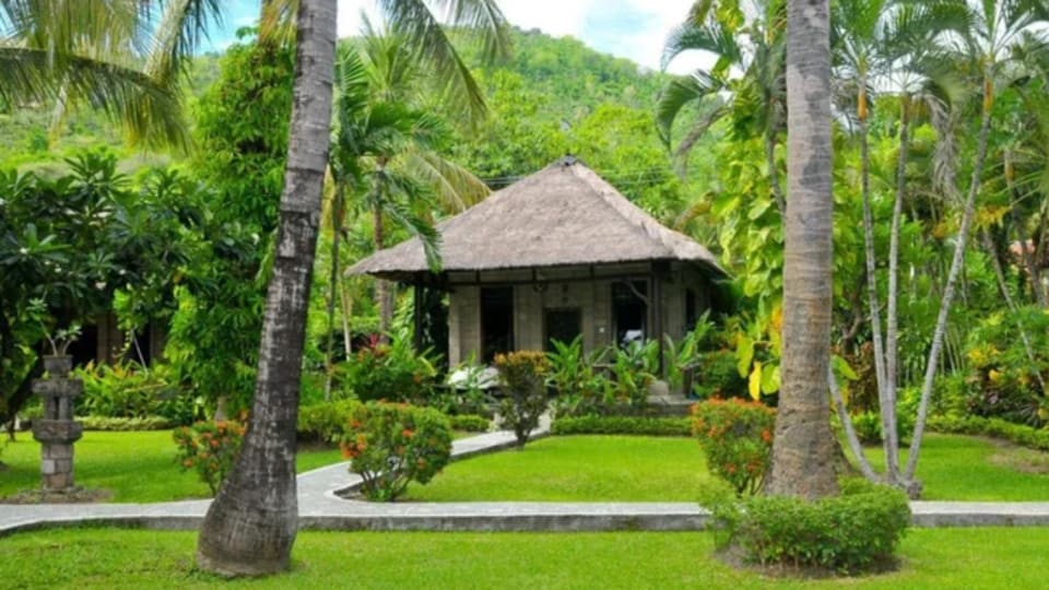 Stay in comfortable accommodation in Bali's North during your three-day action-packed family retreat.