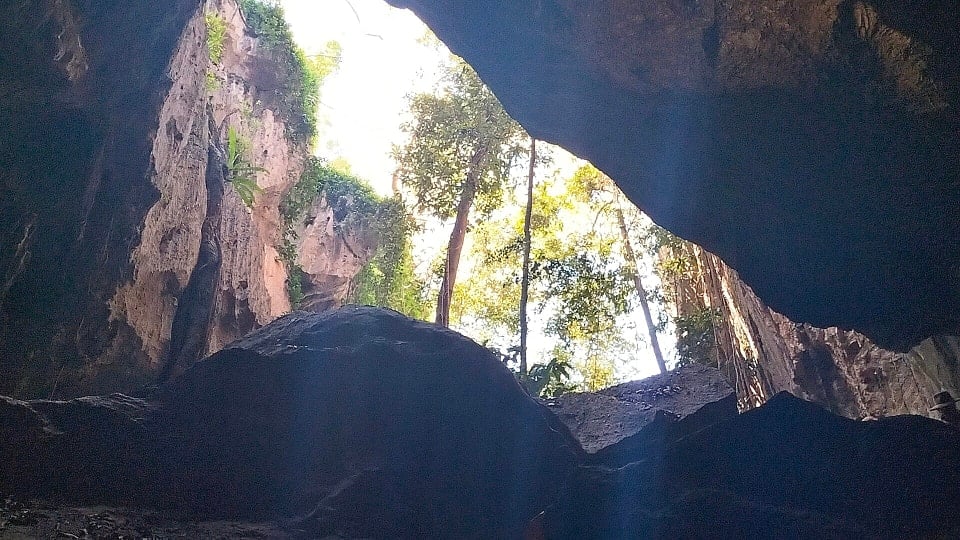 A view looking to the trees outside, as taken from inside a cave on the Cathedral Cave Tour at the Capricorn Caves.