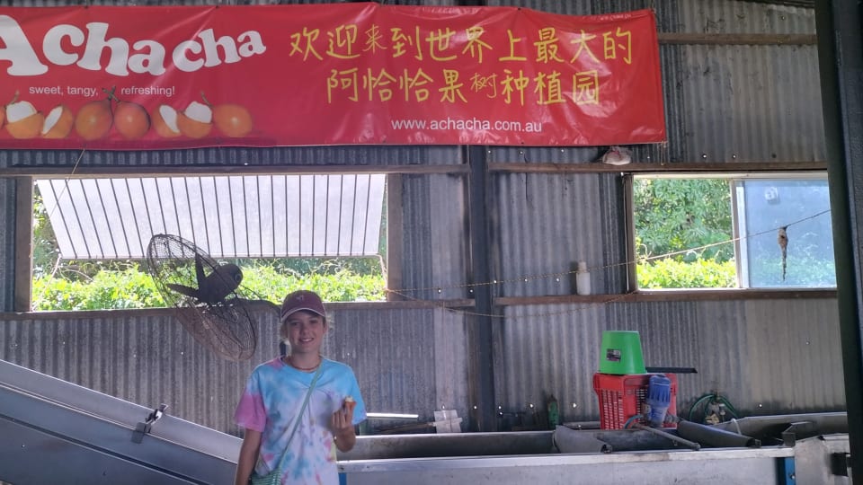 Ayla inside the processing shed at the Achacha Fruit Plantation near Townsville.