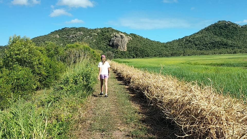Ayla walks along a grassy trail at Freshwater Lagoon in the Townsville Town Common Conservation Park, with Mount Marlow up ahead.