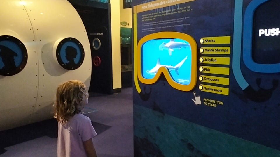 Romy learns about marine life at the Queensland Museum Tropics via video exhibits.