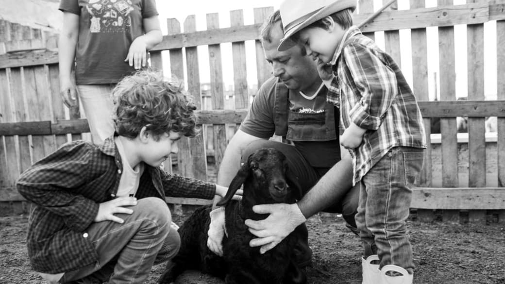 A joyful scene of a family sharing laughter while feeding a goat at a countryside farm.