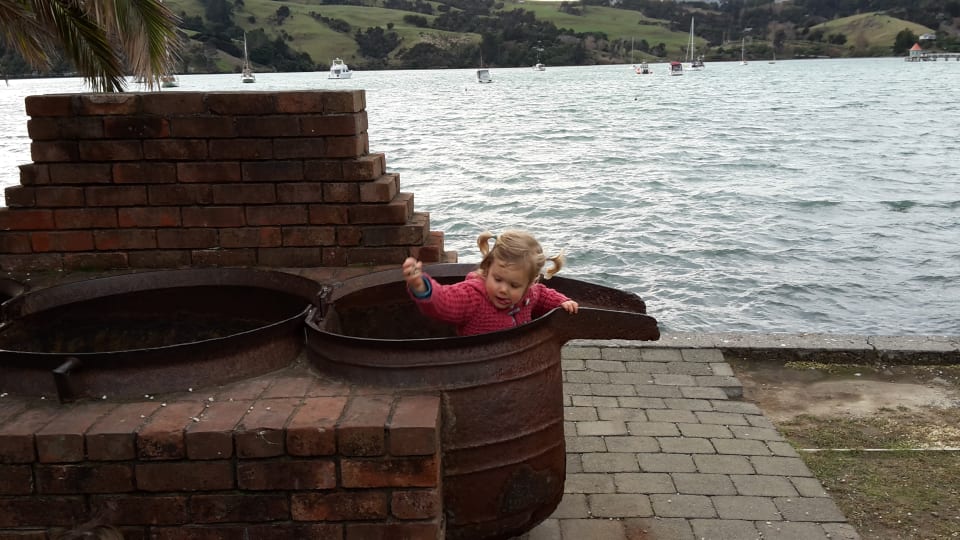 Ayla plays in a barrel on the Akaroa waterfront.