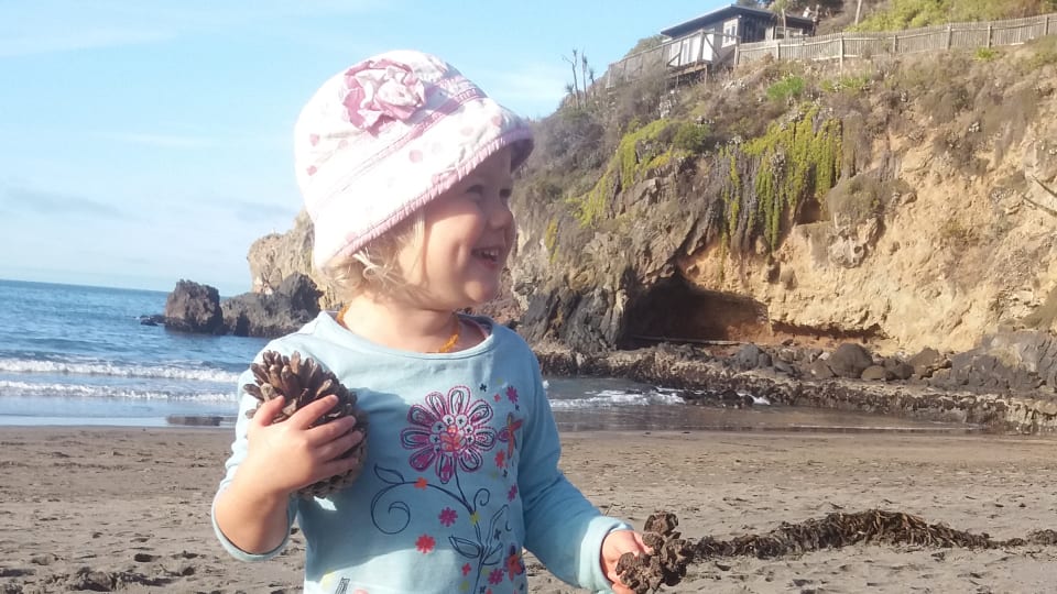 Ayla plays with pinecones on Taylors Mistake beach in Christchurch.