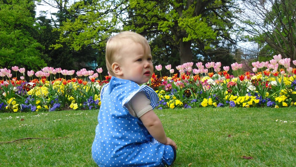Ayla sits on the grass at the Christchurch Botanic Gardens, with a beautiful array of colorful flowers before her.