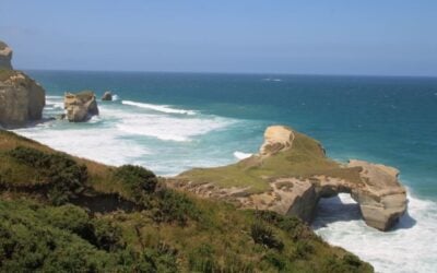 Things to Do in Dunedin With Kids: Top Attractions and Activities