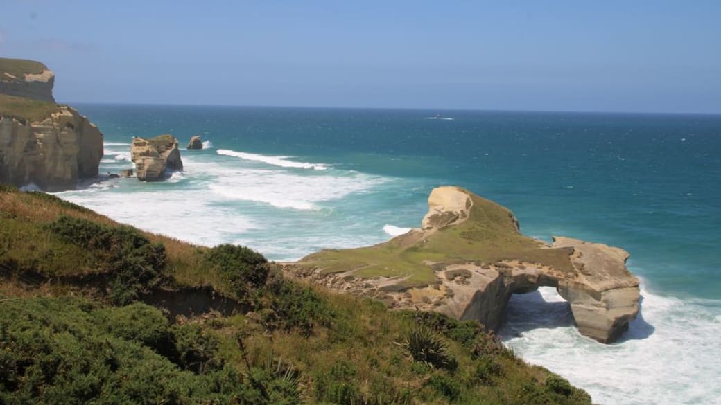 Things to Do in Dunedin With Kids: Top Attractions and Activities