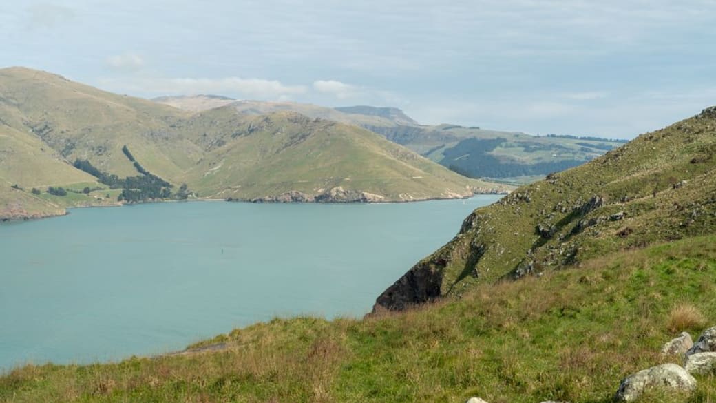 Stunning summer view of Lyttleton Harbour framed by rolling green hills, showcasing the tranquil charm of New Zealand’s coastline.