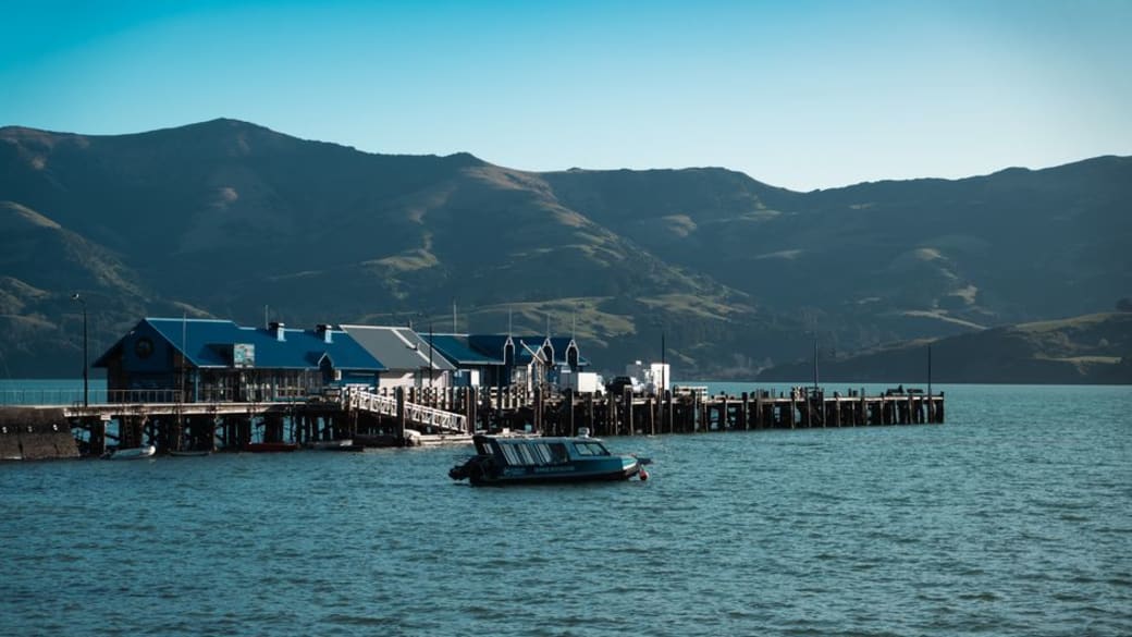 Stunning panorama of Akaroa harbour, charming cottages, and rolling green hills under a bright blue sky.