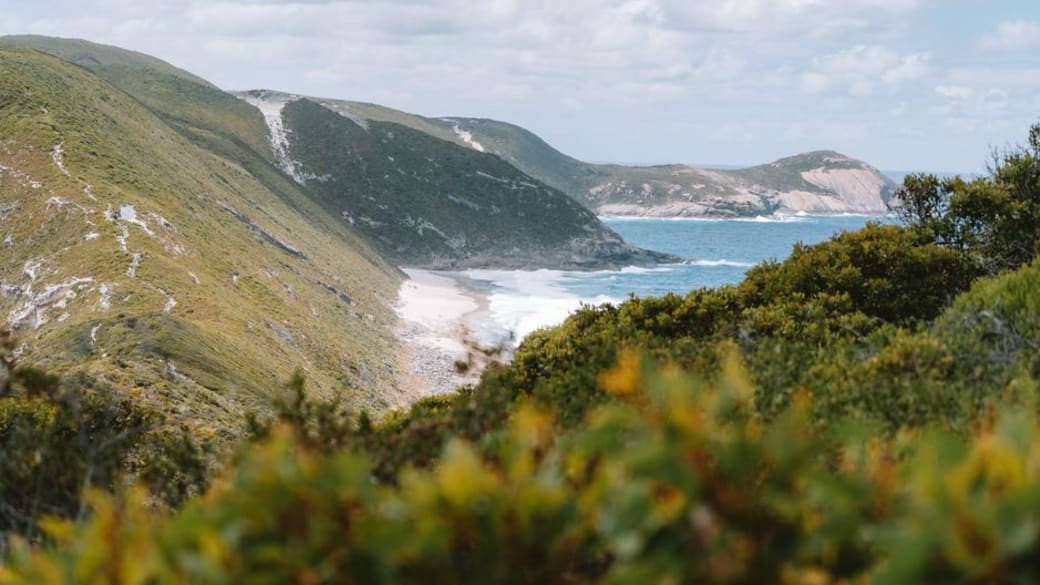 Stunning panorama of Albany’s verdant shoreline, featuring gentle hills and sparkling azure seas.