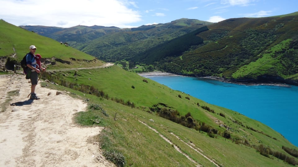 Colin walking on the Bank Peninsula Trail, a stunning 4-day walk near Christchurch.