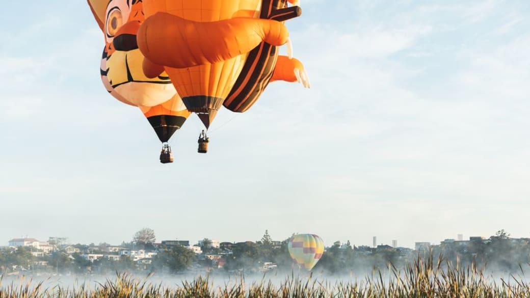 Colorful hot air balloons soar over Hamilton, New Zealand, creating a vibrant scene.